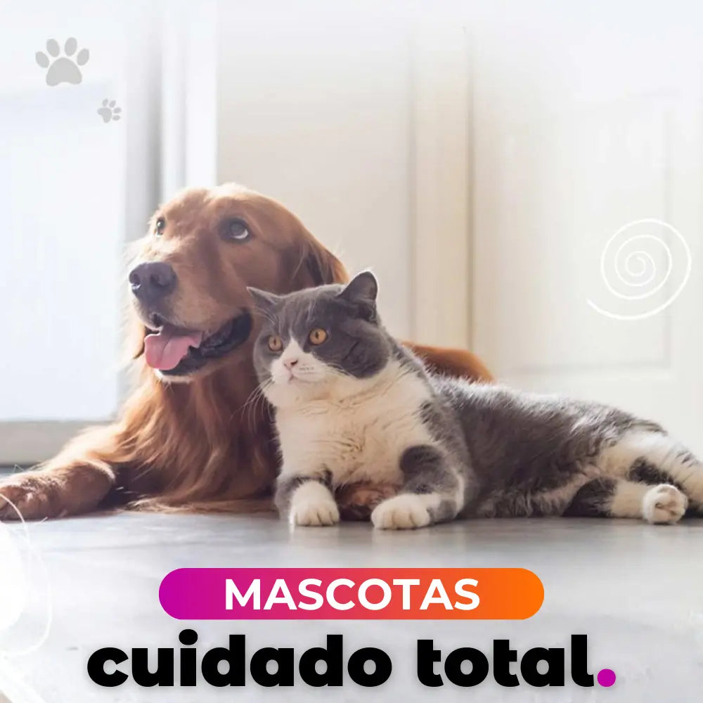Mascotas